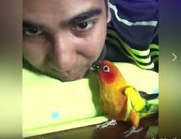 狗遭棄養！耳朵毛長到纏住腳眼周皮膚被扯到剝落紅腫| ETtoday寵物雲| ETtoday新聞雲