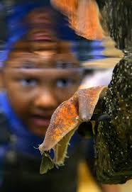 Orange County celebrates Mother Earth