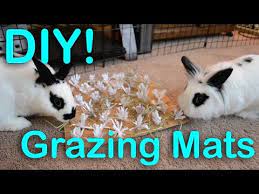 Diy valentine's day toys and treats for your bunny | valentine's day 2021. Grazing Mats For Chewing Diy Bunny Toy Youtube Diy Bunny Toys Pet Bunny Homemade Rabbit Toys