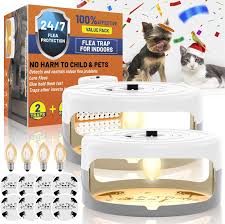 Sticky Flea Trap Indoor