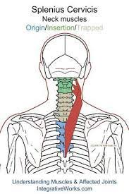 Pin On Healings