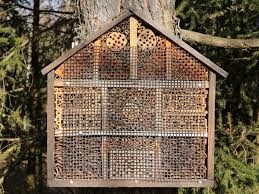 Maybe you would like to learn more about one of these? How To Build A Native Bee Hotel Modern Farmer