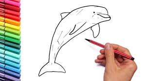 A chicken hen farm animal s0f4f. Sea Animal Color Pages For Kids Dolphin Learn To Draw And Color Marine Animals Youtube