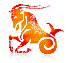 images?q=tbn:ANd9GcSOS545-UD9wjcBl7SKiV2