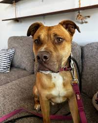 Get your tickets! You know bestie has the cutest items! Plus the vibe is  always