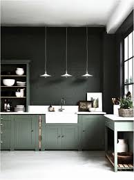 Fresh Cuisine Style Ancien Green Kitchen Cabinets Studio Kitchen Interior Design Kitchen