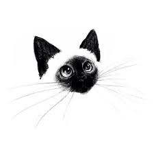 Black And White Siamese Cat Drawing Siamese Cat Illustration Siamese Cat Tattoos Kitten Art Cat Illustration