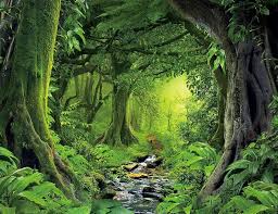 Image result for wallpaper