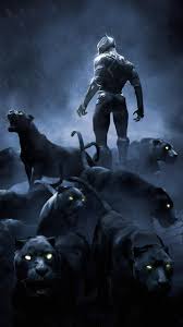 Download Hd Movie Wallpapers Poster Wallpaper Hd Iphone Desktop Popular Marvel Dc Downloa Black Panther Marvel Superhero Wallpaper Black Panther Art