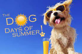 We use this saying every year. Keep Safe During The Oppressive Dog Days Of Summer Ocean County Health Department