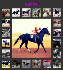 Pin By Emily Williams On For The Love Of Horses Ruffian Thoroughbred Horse Beautiful Horses