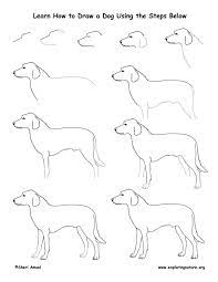 Learn To Draw Animals On Exploringnature.org | Drawing Lessons, Dog Drawing,  Animal Drawings