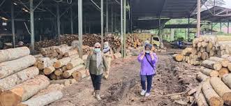Maybe you would like to learn more about one of these? Dlh Samarinda Pantau Pabrik Plywood Di Loa Buah Kaltim Today