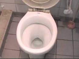 We did not find results for: Gurgling Toilets Do You Have Problems With Your Drainage System Introducing The P A P A Youtube
