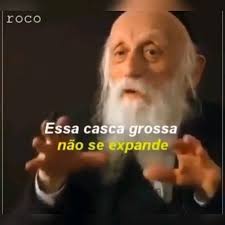 Flavia Shiroma (flaviashiroma) — Perfil