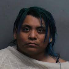 Woman arrested for child & bestiality porn in Blacksburg, police say