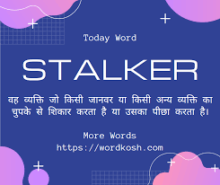 Stalker Meaning Hindi In 2020 More Words Meant To Be Words