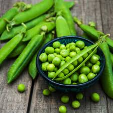 Image result for Pisum sativum