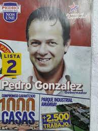 Megaestafa: Pagaron 395 mil y recaudaron más de 1 millón de dólares por  tierras de Villa San Pedro en PJC