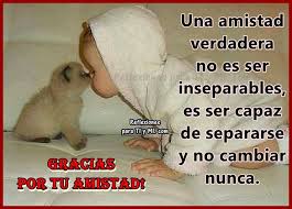 Por la presencia de las personas. Una Amistad Verdadera Amistad Reflexiones Reflexion De Amor