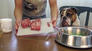 Get immediate access to our course Good Food Good Dog Raw Food Diet Youtube