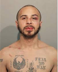 ᐅ Illinois Criminal Records 2009-2026