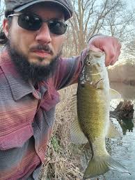 Otters stealing fish from stringers at lake harriet