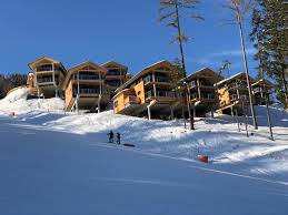 INFOS & DOWNLOADS – Alpenchalet Reiteralm
