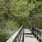 Preservation Long Island Hosts Nature Walk at Shu event image