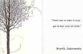 Naturaleza Frases Libres Frases Naturaleza Arbol Frases Jodorowsky Frases