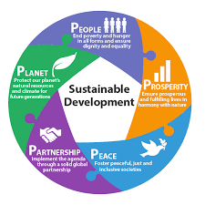 What are the five elements of the Sustainable Development Goals? Have a  look here and pass on the infographic to spread the #Action2015 momentum!  #GlobalGoals
