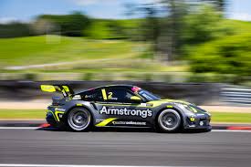 Image result for Dark Yellow Green 2020 Fleet
