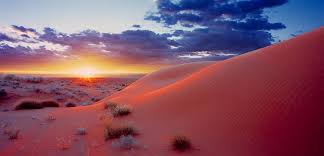 Simpson Desert Qld6120067 Desert Photographs Australia Stock Photos High Quality Licensed St Outback Australia Vacation Destinations Australian Desert