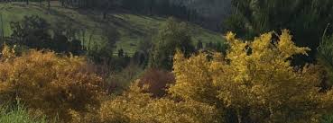Blue Sky Retreat Cottage Greenbushes Family Friendly Accommodation