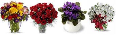 Maybe you would like to learn more about one of these? The 8 Best Options For Flower Delivery In Salem Oregon 2021