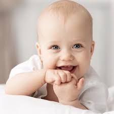 Peter Schaper (@schaperpeter)