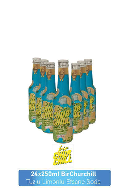 BİRCHURCHILL 250 ML CAM ŞİŞE 24 LÜ