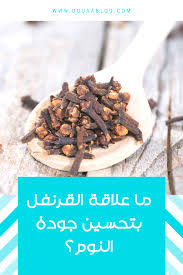 فوائد القرنفل Food Breakfast