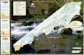 Trout Fishing In Tennessee