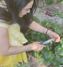 A garden is a planned space, usually outdoors, set aside for the display, cultivation, or enjoyment of plants and other forms of nature, as an ideal setting for social or solitary human life. U1eirxwgvhhtim