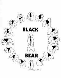 Black Bear Shot Placement Archery Black Bear Vitals Full 360 Black Bear Hunting Boar Hunting Bear Hunting