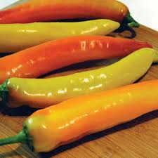 Check spelling or type a new query. Hot Sunset Hybrid Pepper Seeds From Park Seed