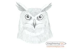 4 simple pencil drawing techniques every beginner should learn. How To Draw An Owl S Face Head Step By Step Easydrawingtips