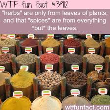 The Difference Between Herbs And Spices Wtf Fun Facts Wtf Fun Facts
