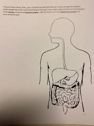 We did not find results for: Using The Figure Below Draw Color And Label The Chegg Com
