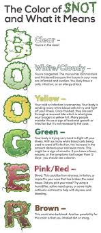 Related Image Winter Allergies Dry Nose Best Humidifier
