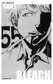 Bleach capítulo 55 sub español. Bleach Manga Capitulo 55 Wiki Animes Island Amino