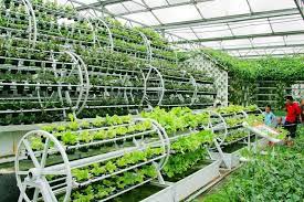 Aquaponic Farms In Japan Aquaponic