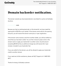Godaddy Auction Outbid Notice 7 Minutes To Cure Namepros