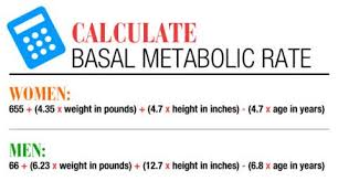 Calorie Calculator Find Out How Many Calories You Need